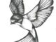 swallow tattoo